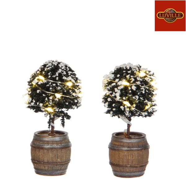 LUVILLE - Buxus Tree In A Barrel (2 Pieces)